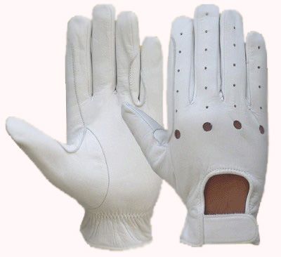 Riding Gloves