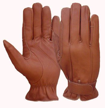 Riding Gloves