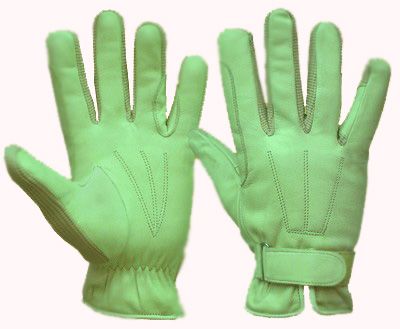 Riding Gloves