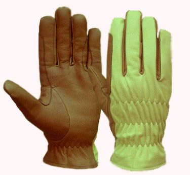 Riding Gloves