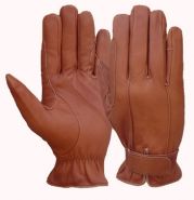 Riding Gloves