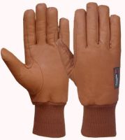 Riding Gloves